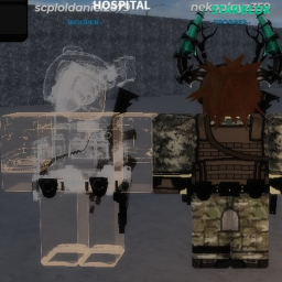 Server owner