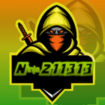 Ninja211313 group