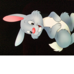 Bunny’s of robloxia