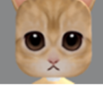 ivqrss serv