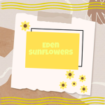 Eden Sunflowers