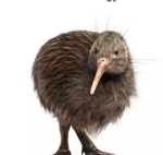Kiwi kicks productions