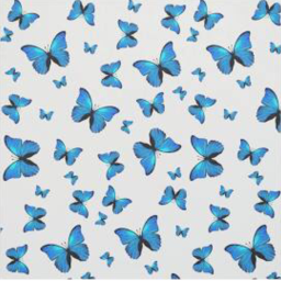 ♡ butterflies official hangout!
