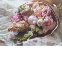 The garden {OPENING EVENT!}