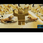 the doge group poop