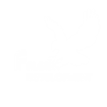 Falcon Development Group