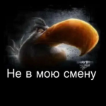 ne v moy smeny