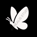 Aurealis Studio