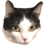 .PICKLE.