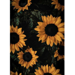 Sunflower _Squad!