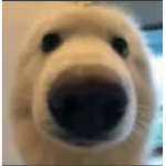 LeGoobers