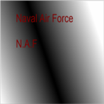 naval Air Force