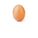 E g g cult