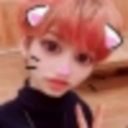 cursed skz felix catboy Roblox decal