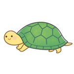 Turtles Studioo