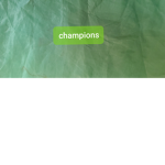 Champion medinas