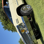 qpange's impala
