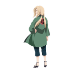 project : AO