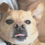 Join me group its me teddy