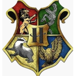 The army of Harry potter