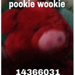 pookie wookie
