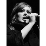 Adele's fans