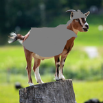 The Goat Sanctuary