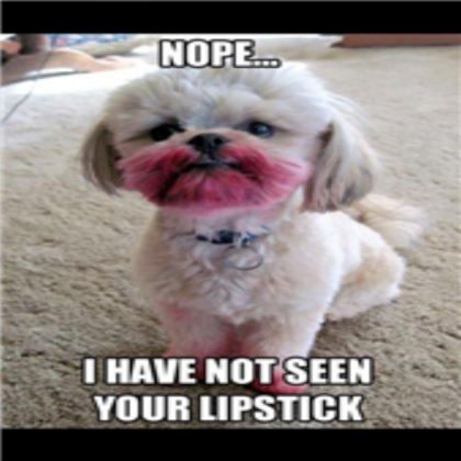 Funny dog Roblox decal