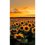 flowerxo fan group