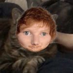 Ed Sheerio