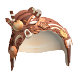 Roblox entity thumbnail