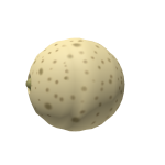 Cantaloupe Head