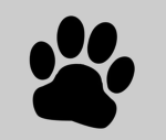 The furries1343