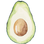 Avocado Clothing Store!