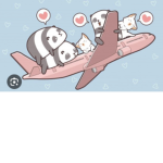 ~ | panda airlines | ~