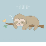 THE OFFICIAL SLOTH FAN CLUB