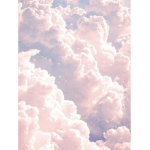 Cloudy_Roxy