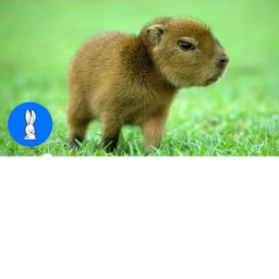 SURVIVE THE KILLER CAPYBARA!!