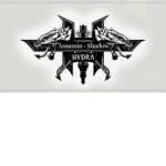 XShadows AssasinssX