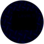 Level 5 Access