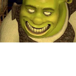 kill shrek