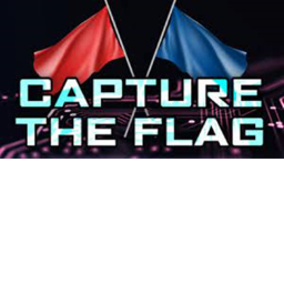 Capture the Flag [NEW]