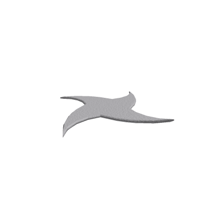 ninja star