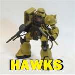 .H.A.W.K.S.