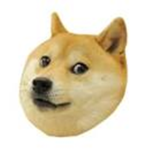 The Doge Uprising!