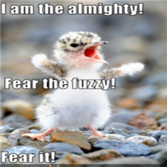 Funny animal 8 Roblox decal