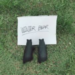 Winter bear