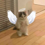 C3TZ