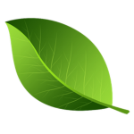 Nature Development Group