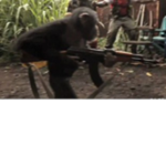 【 The First Monkey Empire 】